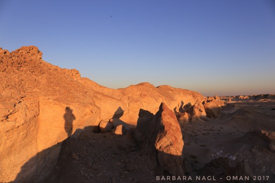 2016-12-29_11-21-59_100