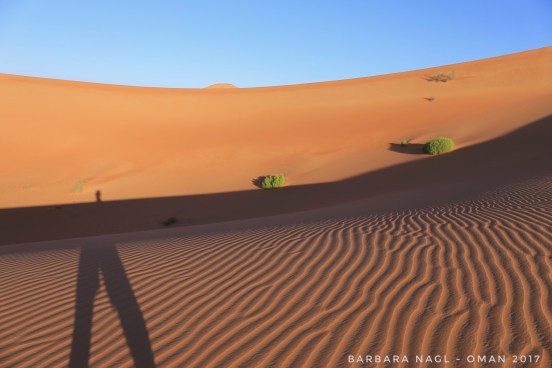 2016-12-30_10-46-20_770