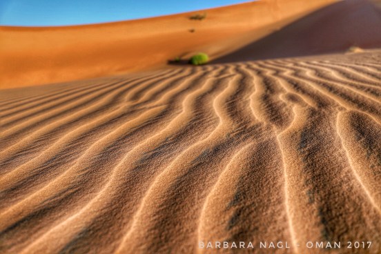 2016-12-30_10-46-50_610