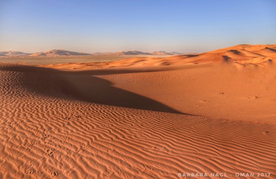 2016-12-30_10-51-21_490